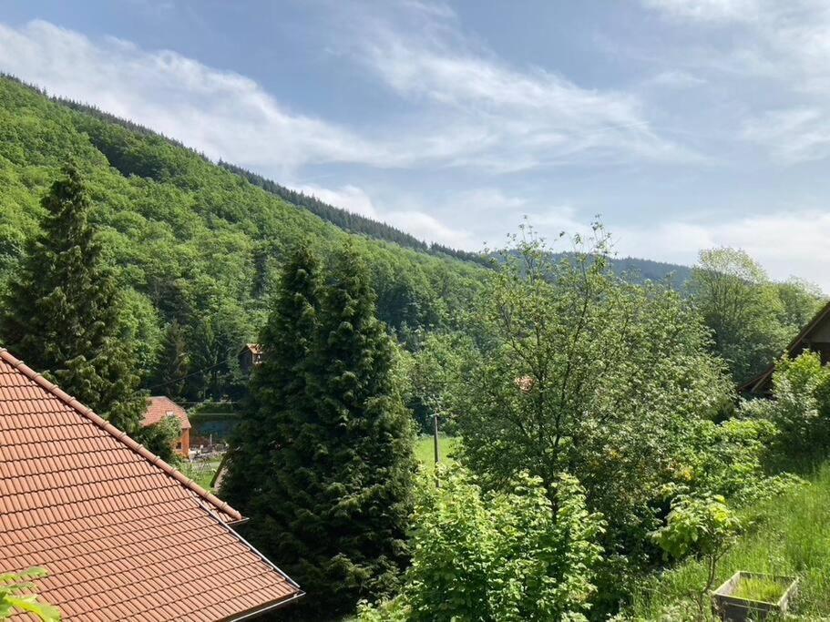 La Belle Vallee Lalaye Bagian luar foto