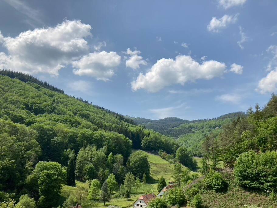 La Belle Vallee Lalaye Bagian luar foto